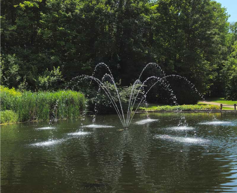 Fontaine et brumisation